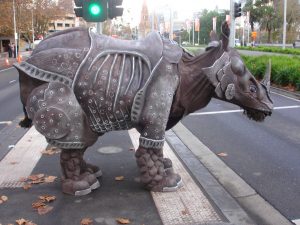 Albrecht the Rhino