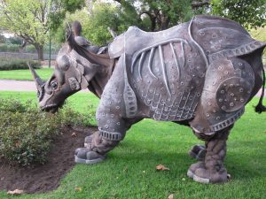 Albrecht the Rhino