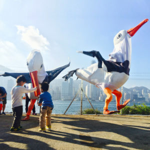 seagulls hk jump