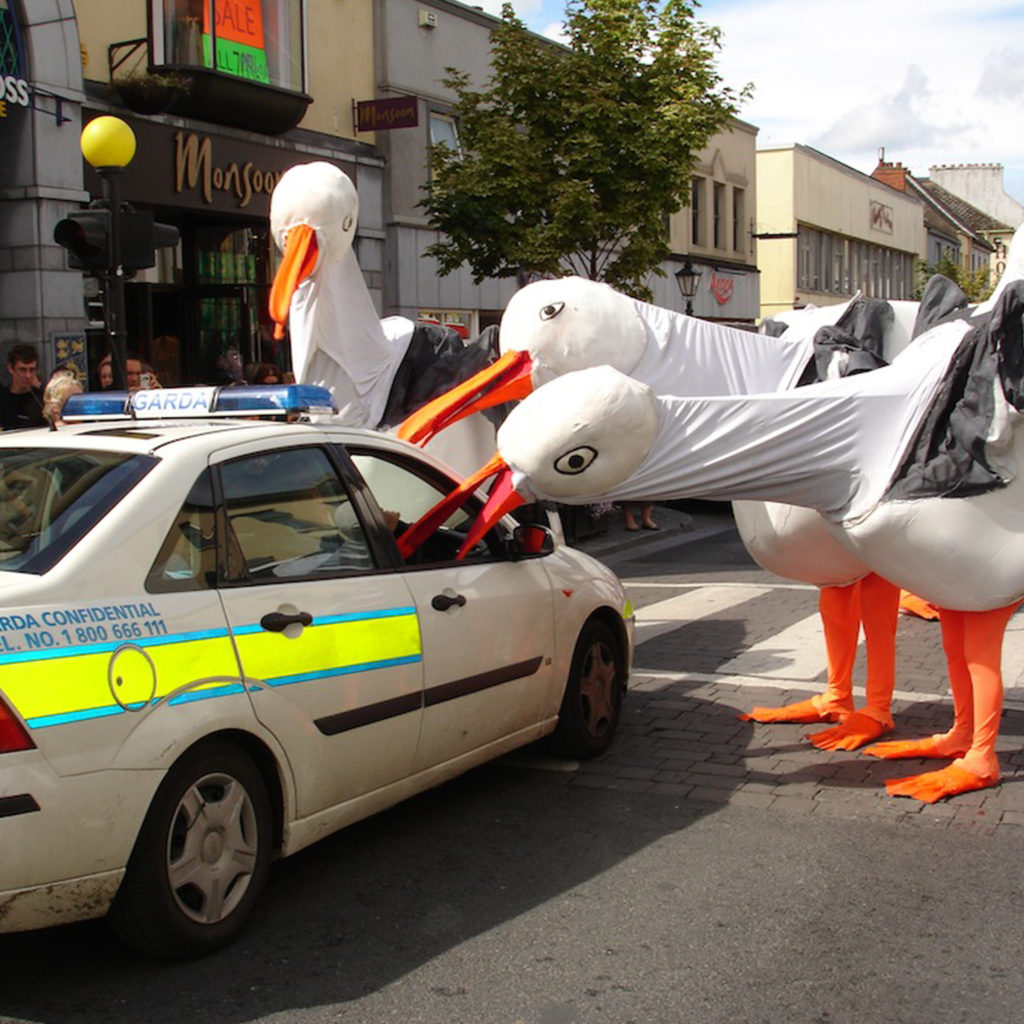 seagulls police car