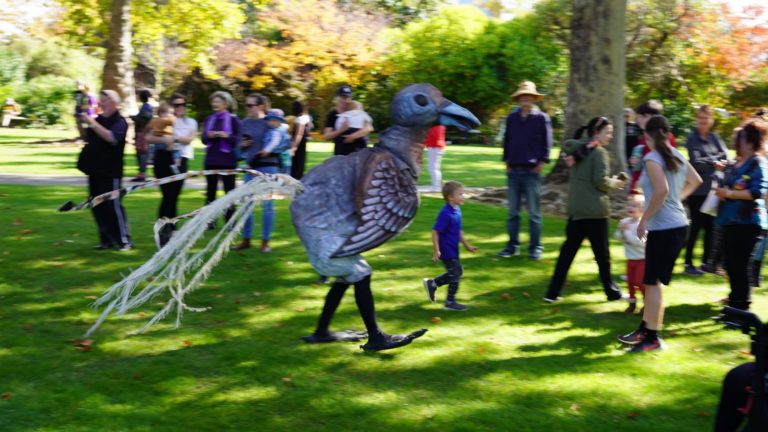 Beasts Of Oz - Lyrebird