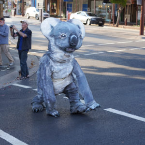 Koala puppet crossing a road