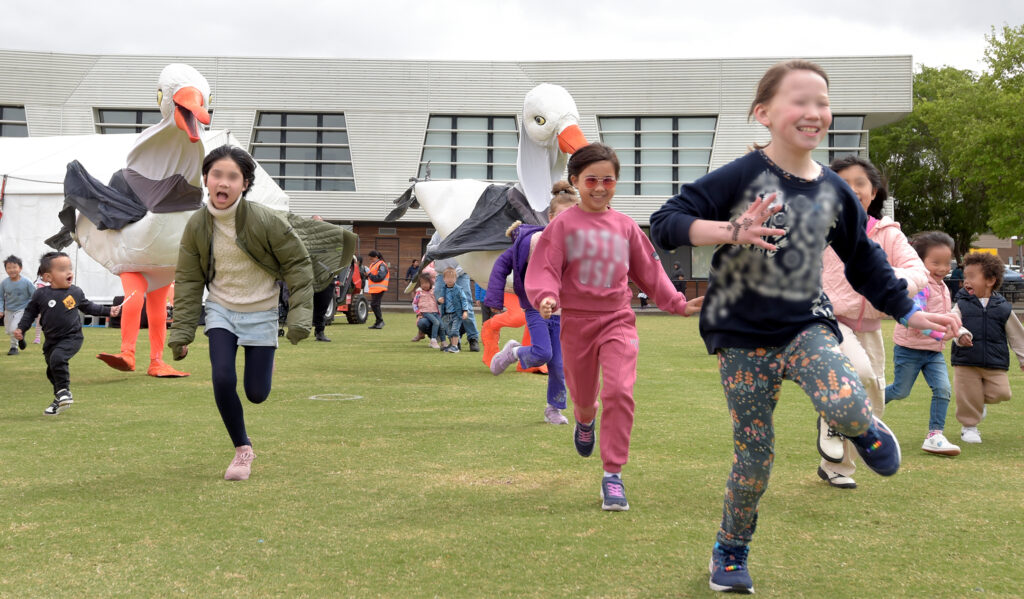 Photo of two eight foot tall Seagul puppets chasing a group of children on a football oval.