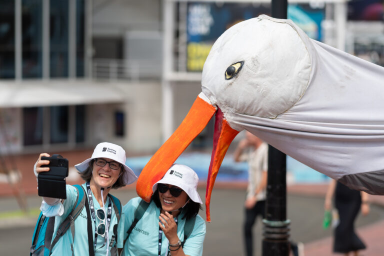 Photo of Seagulls at Pyrmont Bridge Sydney