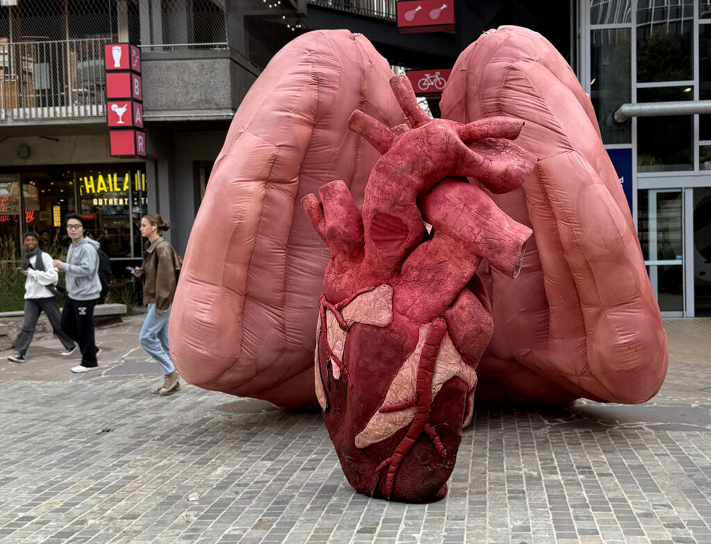 human body organs