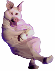 pig