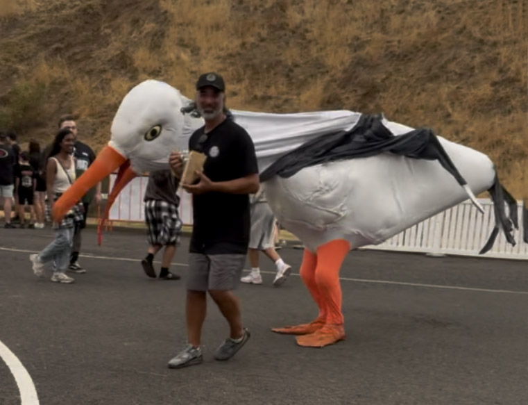 Seagulls Calder Raceway